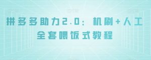 拼多多助力2.0：机刷+人工全套喂饭式教程【揭秘】-稀缺资源库
