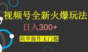 视频号最新爆火玩法，日入300+，简单操作无门槛【揭秘】-稀缺资源库