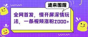 全网首发，慢开屏深情玩法，一条视频涨粉2000+【揭秘】-稀缺资源库