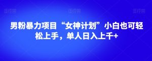 男粉暴力项目“女神计划”小白也可轻松上手，单人日入上千+【揭秘】-稀缺资源库