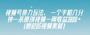 视频号暴力玩法，一个手机几分钟一条原创视频一周收益3800+（附820G视频素材）-稀缺资源库