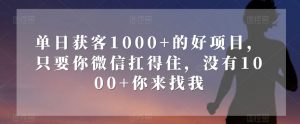 单日获客1000+的好项目，只要你微信扛得住，没有1000+你来找我【揭秘】-稀缺资源库