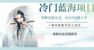冷门蓝海项目，操作简单，小白3分钟上手，多种引流方式，保姆式全流程教学【揭秘】-稀缺资源库