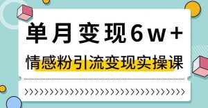 单月变现6W+，抖音情感粉引流变现实操课，小白可做，轻松上手，独家赛道【揭秘】-稀缺资源库