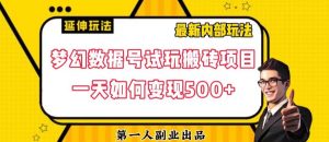 数据号回归玩法游戏试玩搬砖项目再创日入500+【揭秘】-稀缺资源库