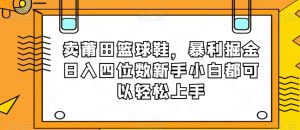 卖莆田篮球鞋，暴利掘金日入四位数新手小白都可以轻松上手【揭秘】-稀缺资源库
