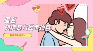 全网首发，揭秘超冷门匿名短信项目，通过信息差日入几百+【揭秘】-稀缺资源库