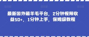 最新国外薅羊毛平台，2分钟视频收益50+，1分钟上手，保姆级教程【揭秘】-稀缺资源库