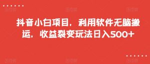 抖音小白项目，利用软件无脑搬运，收益裂变玩法日入500+【揭秘】-稀缺资源库