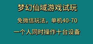 梦幻仙域游戏试玩，免微信玩法，单机40-70，一个人同时操作十台设备【揭秘】-稀缺资源库