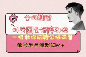 全网独家抖音图文矩阵引流，一招教你玩转公域流量，单号半月涨粉10w+【揭秘】-稀缺资源库