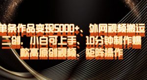 单条作品变现5000+、外网视频搬运二创，小白可上手，10分钟制作爆款高原创视频，矩阵操作【揭秘】-稀缺资源库