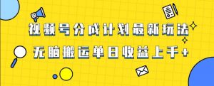 视频号最新爆火赛道玩法，只需无脑搬运，轻松过原创，单日收益上千【揭秘】-稀缺资源库