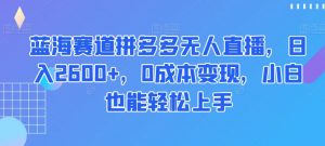 蓝海赛道拼多多无人直播,日入2600+,0成本变现,小白也能轻松上手【揭秘】-稀缺资源库