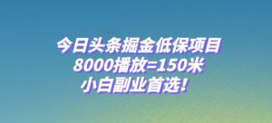 今日头条掘金低保项目，8000播放=150米，小白副业首选【揭秘】-稀缺资源库