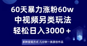 60天暴力涨粉60W，中视频另类玩法，日入3000＋，几分钟一条原创作品多种变现方式-稀缺资源库
