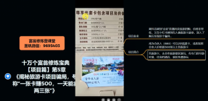 十万个富翁修炼宝典之5.揭秘旅游卡项目骗局,号称“一张卡赚500,一天能卖两三张”-稀缺资源库