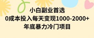 小白副业首选，0成本投入，每天变现1000-2000年底暴力冷门项目【揭秘】-稀缺资源库