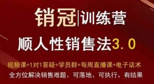爆款!销冠训练营3.0之顺人性销售法,全方位解决销售难题、可落地、可执行、有结果-稀缺资源库