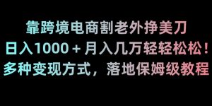 靠跨境电商割老外挣美刀,日入1000+月入几万轻轻松松!多种变现方式,落地保姆级教程【揭秘】-稀缺资源库