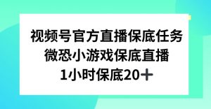 视频号直播任务，微恐小游戏，1小时20+【揭秘】-稀缺资源库