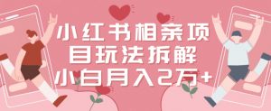 小红书相亲项目玩法拆解，有人通过这个副业项目做到了月收入2万多【揭秘】-稀缺资源库