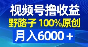 视频号野路子撸收益，100%原创，条条爆款，月入6000＋【揭秘】-稀缺资源库