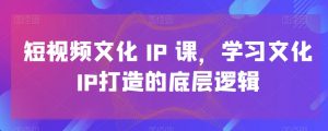 短视频文化IP课,学习文化IP打造的底层逻辑-稀缺资源库
