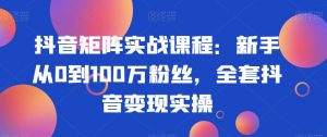抖音矩阵实战课程:新手从0到100万粉丝,全套抖音变现实操-稀缺资源库