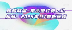臻曦联盟-单品微付费正价起号，2024年1月最新课程-稀缺资源库