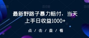 最新野路子暴力赔付，当天上手日收益1000+【仅揭秘】-稀缺资源库