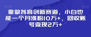 靠做抖音创新赛道，小白也能一个月涨粉10万+，回收账号变现2万+【揭秘】-稀缺资源库