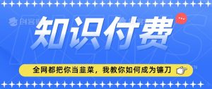 2024最新知识付费项目,小白也能轻松入局,全网都在教你做项目,我教你做镰刀【揭秘】-稀缺资源库