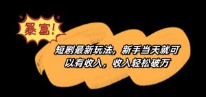 短剧最新玩法,新手当天就可以有收入,收入轻松破万【揭秘】-稀缺资源库