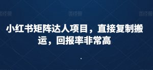 小红书矩阵达人项目，直接复制搬运，回报率非常高-稀缺资源库