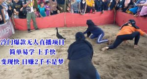 冷门爆款无人直播项目，简单易学上手快，变现快日赚2千不是梦【揭秘】-稀缺资源库