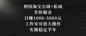 利用淘宝公域+私域差价掘金，日赚1000-5000元，工作室可放大操作，实操稳定半年【揭秘】-稀缺资源库