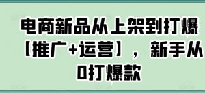 电商新品从上架到打爆【推广+运营】，新手从0打爆款-稀缺资源库
