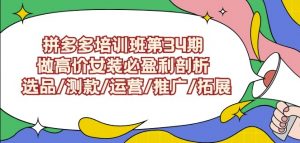 拼多多培训班第34期：做高价女装必盈利剖析选品/测款/运营/推广/拓展-稀缺资源库