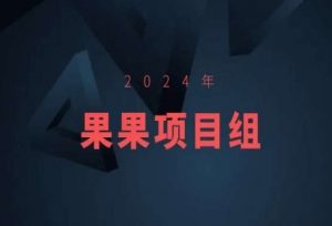 2024年果果项目组项目合集-果果最新项目-稀缺资源库
