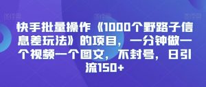 快手批量操作《1000个野路子信息差玩法》的项目,一分钟做一个视频一个图文,不封号,日引流150+【揭秘】-稀缺资源库