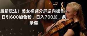 最新玩法！美女视频分屏逆向操作~日引600加色粉，日入700加，条条爆【揭秘】-稀缺资源库