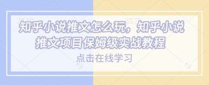 知乎小说推文怎么玩，知乎小说推文项目保姆级实战教程-稀缺资源库
