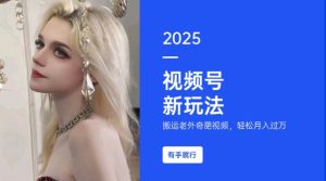 搬运老外奇葩视频,撸视频号分成计划收益,每天只需一小时,新手小白轻松月入过W-稀缺资源库