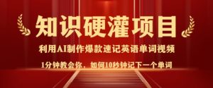 知识硬灌,10秒钟让你记住一个单词,3分钟一个视频,日入多张不是梦-稀缺资源库