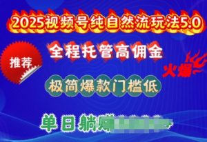 2025视频号纯自然流玩法5.0,全程托管高佣金,极简爆款门槛低,单日收益多张【揭秘】-稀缺资源库