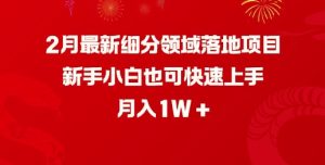 2月最新细分领域落地项目,新手小白也可快速上手,月入1W-稀缺资源库