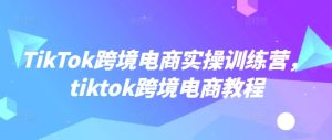 TikTok跨境电商实操训练营，tiktok跨境电商教程-稀缺资源库
