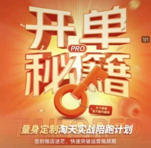 淘宝开单秘籍PRO，量身定制淘天实战陪跑计划，告别做店迷茫、快速突破运营瓶颈期-稀缺资源库