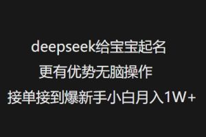 deepseek给宝宝起名更有优势无脑操作接单接到爆新手小白月入1W+-稀缺资源库